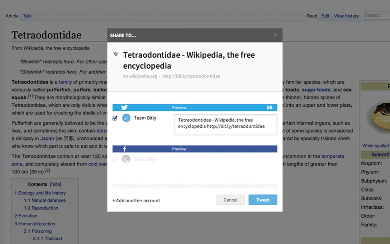 Bitly Extension Screenshot